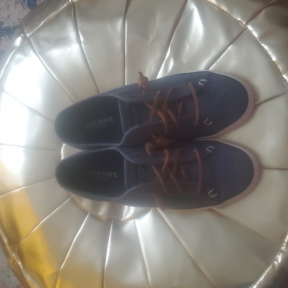 Sperry Navy Canvas Shoes with Brown Laces